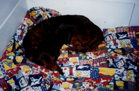 Idefix